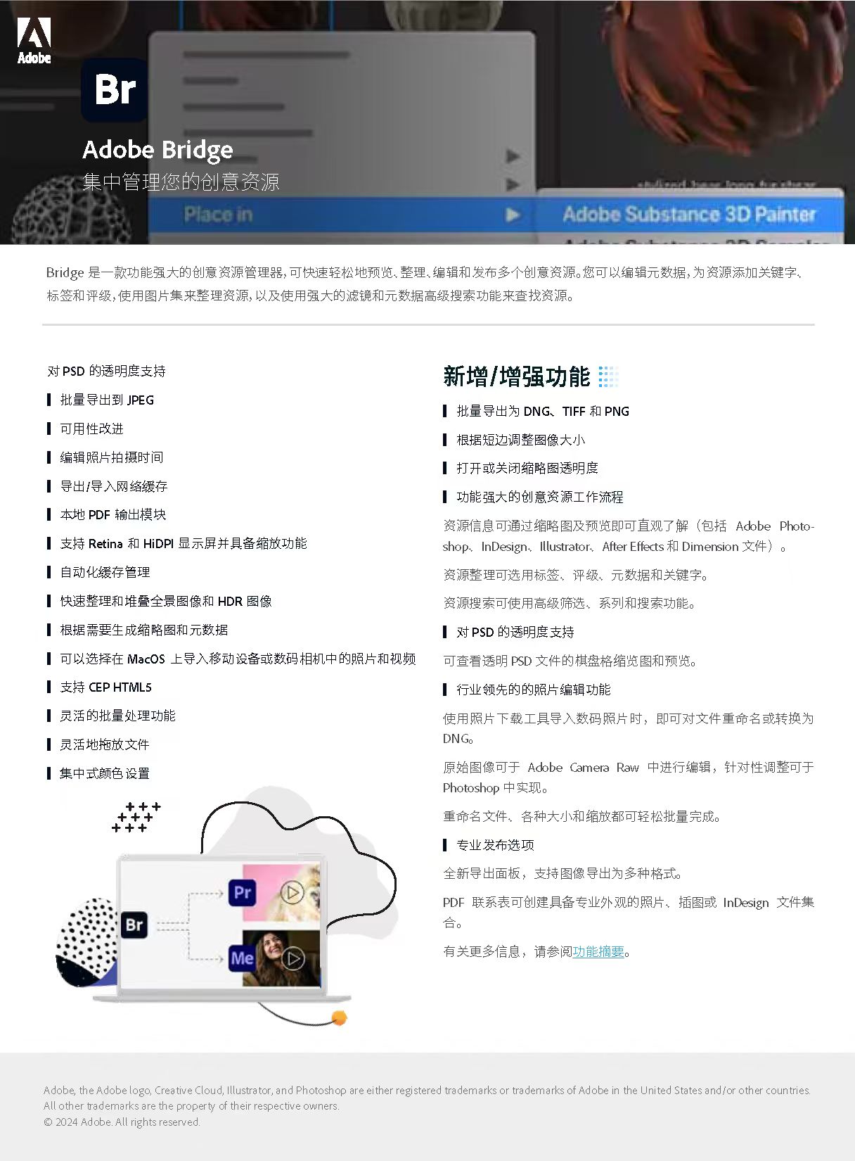 Adobe Bridge 产品详情